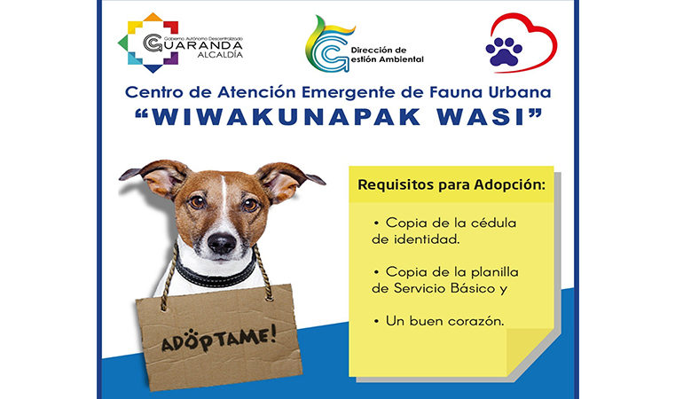 PRIMERA CAMPAÑA DE ADOPCIÓN CANINA