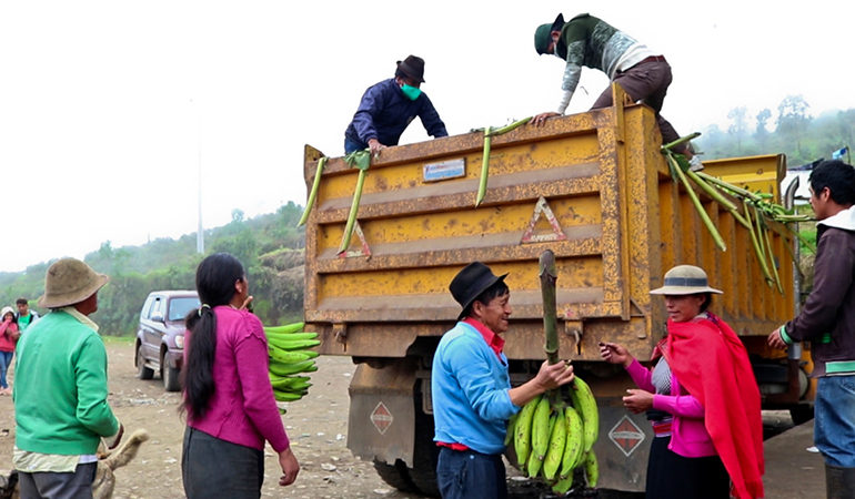 PROYECTO “TRUEQUE SOLIDARIO” BENEFICIA A 9.000 FAMILIAS DEL CANTÓN