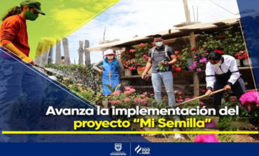 AVANZA LA IMPLEMENTACIÓN DEL PROYECTO “MI SEMILLA”