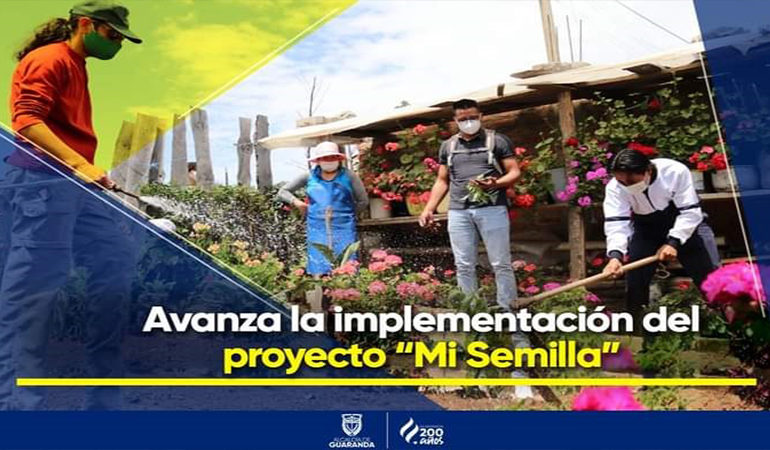 AVANZA LA IMPLEMENTACIÓN DEL PROYECTO “MI SEMILLA”