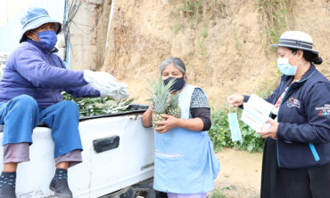 41 MIL PIÑAS SE ENTREGARON EN MÁS DE 30 SECTORES DEL CANTÓN