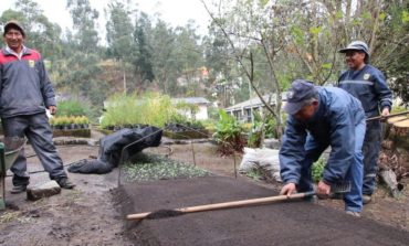El VIVERO FORESTAL MUNICIPAL CONTRIBUYE A LA PRODUCCIÓN LOCAL