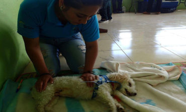 SE REALIZÓ CAMPAÑA DE ESTERILIZACIÓN EN GUARANDA