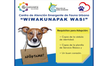 PRIMERA CAMPAÑA DE ADOPCIÓN CANINA