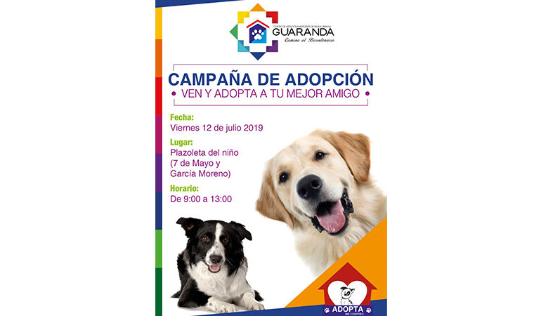 MUNICIPIO ARRANCA CAMPAÑA DE ADOPCION CANINA