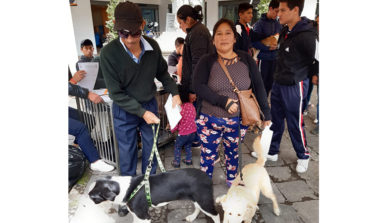 TODO UN ÉXITO FUE LA CAMPAÑA DE ADOPCIÓN ¡¡ADOPTA UN AMIGO!! NO COMPRES