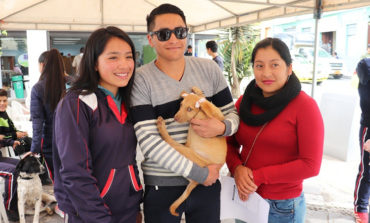 SE LLEVÓ LA  SEXTA CAMPAÑA DE ADOPCIÓN “MI MASCOTA”