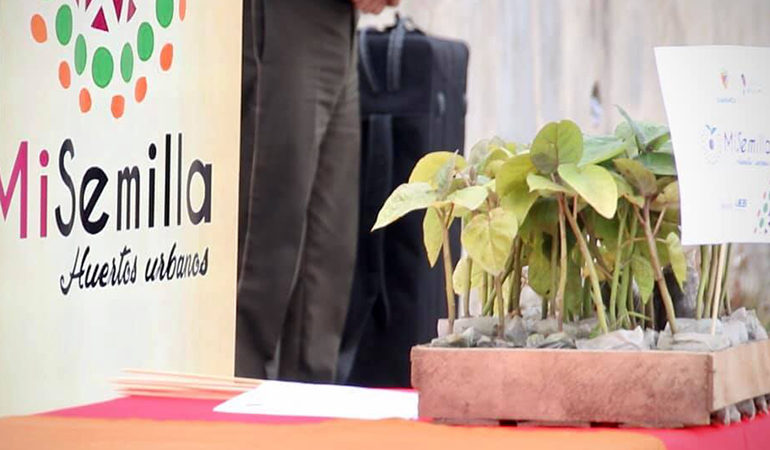 GUARANDA IMPLEMENTA HUERTOS URBANOS