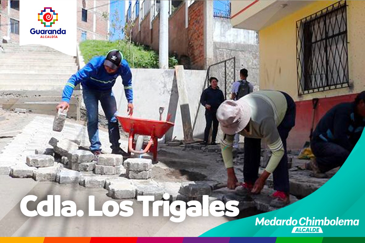ADOQUINADO EN LA CALLE ENRIQUE VILLAGÓMEZ DE LOS TRIGALES